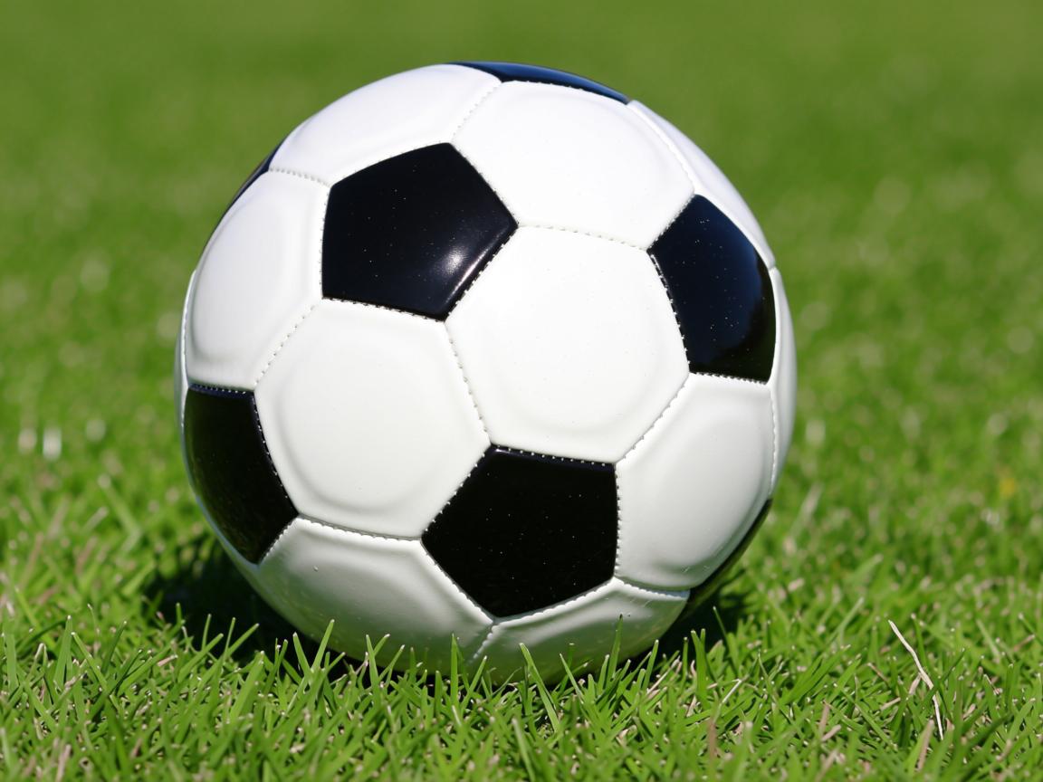 爱游戏体育入口-“四川省体育馆：拳击赛事迎来‘一击定生死’的激烈较量”  第3张