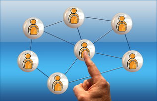 爱游戏平台-体育新闻中心联合高校开展体育传媒创新创业大赛，体育产业创新创业大赛