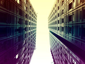 爱游戏体育官网-埃及队未来:借鉴世界先进经验,完善本土发展体系,埃及国家队阵容状况 第2张